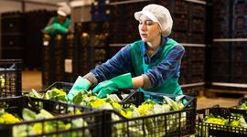 Mehrwegkennzeichnung